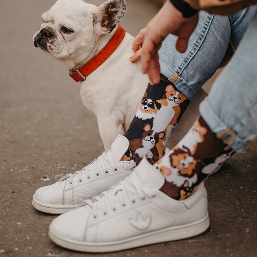 Unisex šarene čarape 37-43 CT562