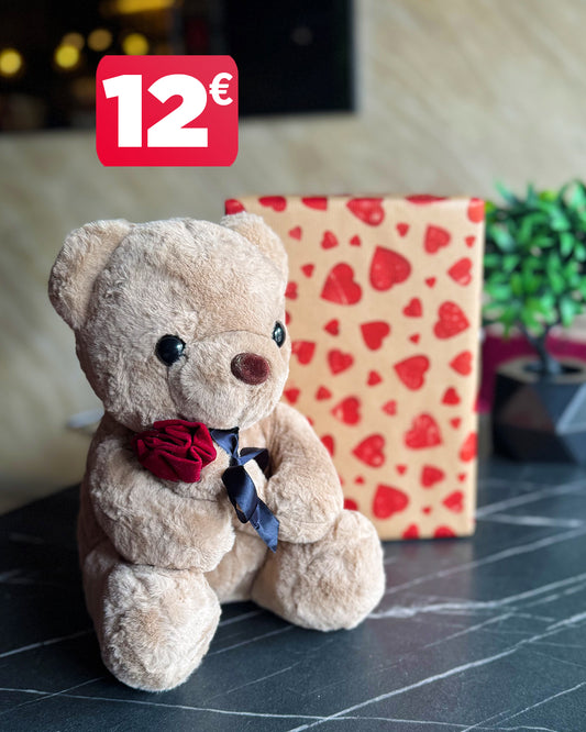 🧸 Veliki plišani meda 🎁